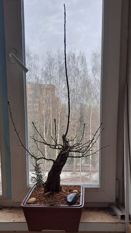 20240401_160522.jpg