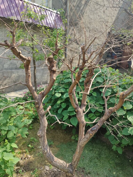 IMG20250422141329.jpg