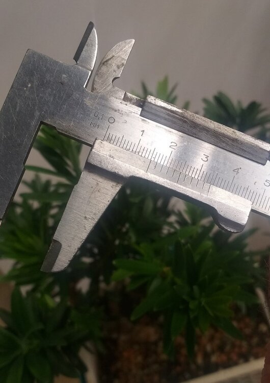 20250503_183754-001.jpg