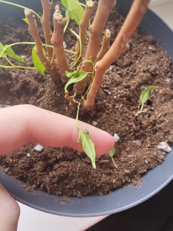 photo_2026-02-22_13-13-23 (2).jpg