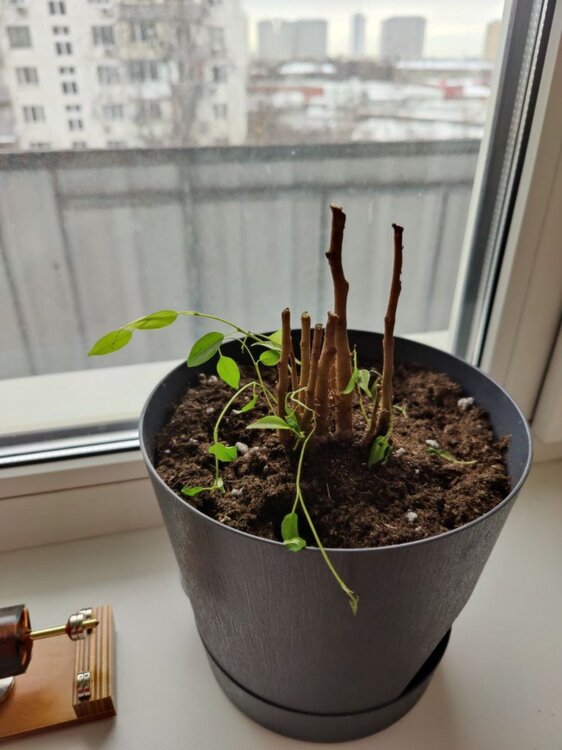 photo_2026-02-22_13-13-24 (3).jpg