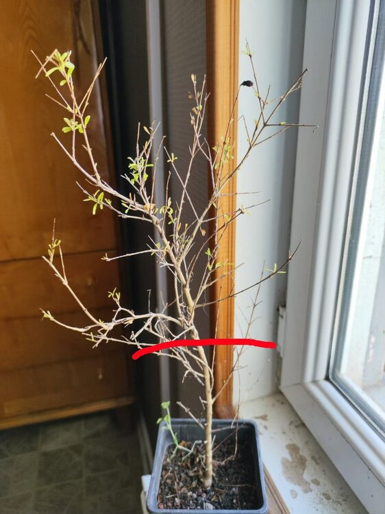 Без имени-1.jpg