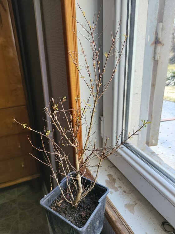 WhatsApp Image 2026-03-18 at 14.52.29.jpeg