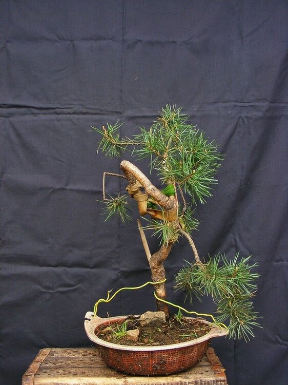 18.5 (6) (1) (1).jpg