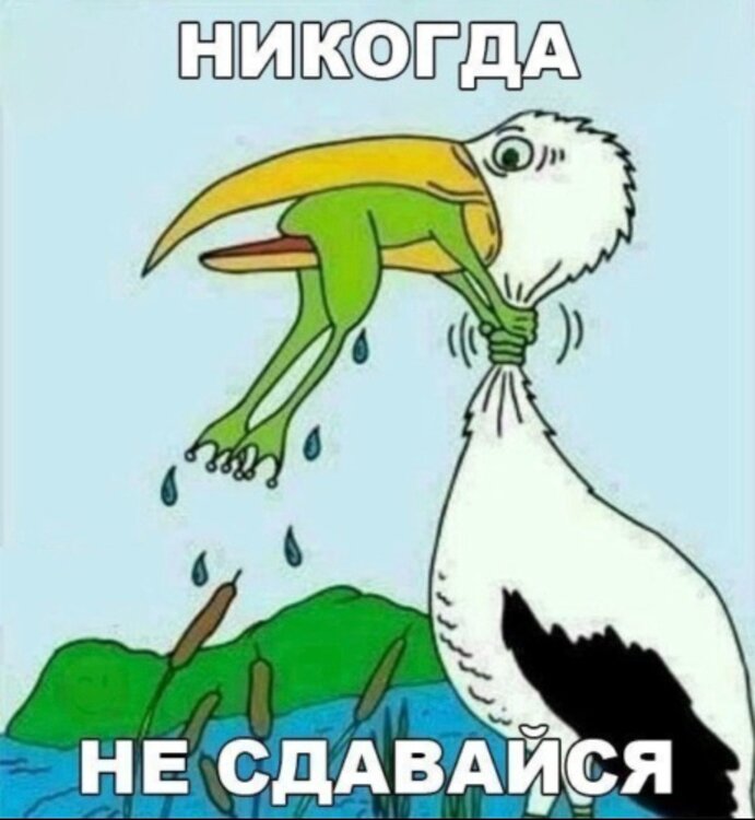 Screenshot_20260402_211025_Yandex Browser.jpg